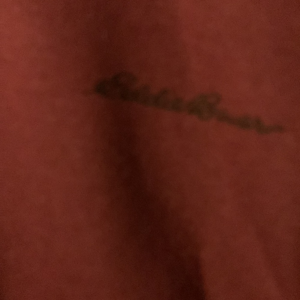🔥🔥NWT Eddie Bauer hoodie large - Picture 2 of 8